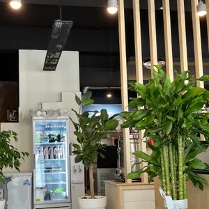 미카즈키 대표 사진