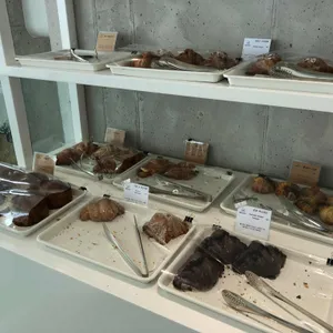 네르하21 사진