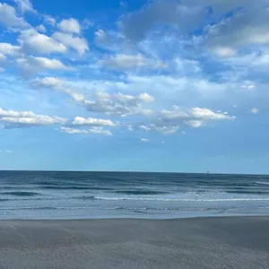 카페 루치아 리뷰 사진