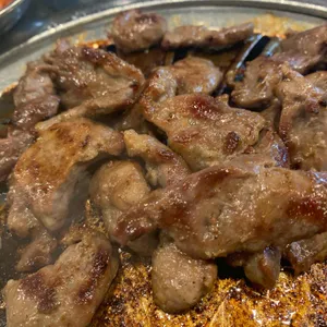 강남갈매기 사진