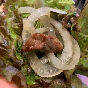 강남갈매기 사진