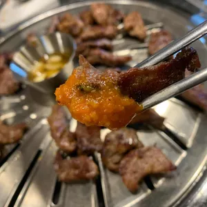 강남갈매기 사진