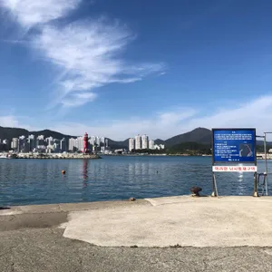 일미아구찜 리뷰 사진