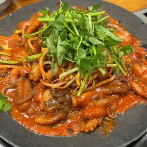 쭈꾸미도사 사진