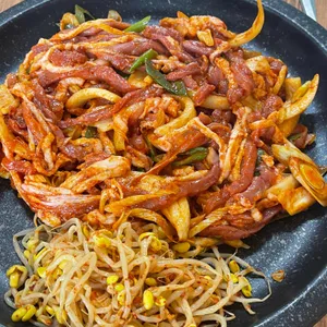 강남오리 사진