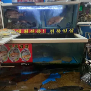 우정수산 리뷰 사진