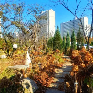 스테이564 리뷰 사진