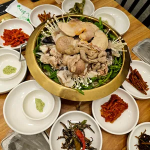 금손아귀 사진