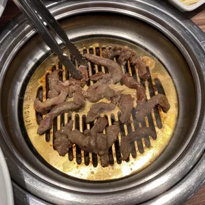 송도갈매기 사진
