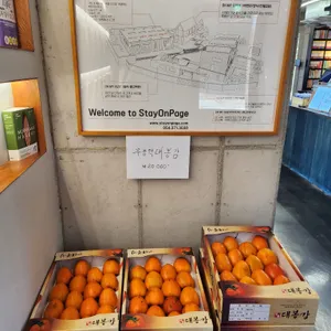 오마이북 리뷰 사진