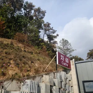 차섬 리뷰 사진