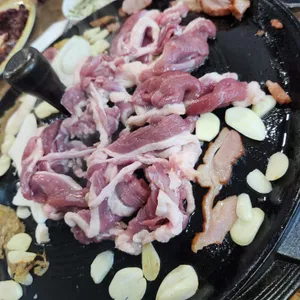 신토불이 사진