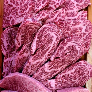 고기가 대표 사진