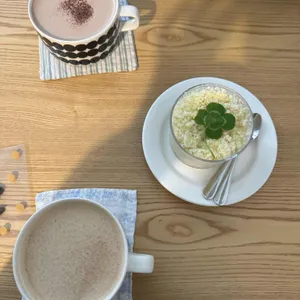 코야코히 사진