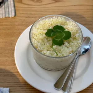 코야코히 사진