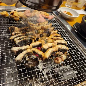 장어의 꿈 사진