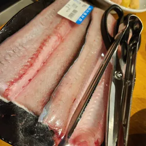 장어의 꿈 사진