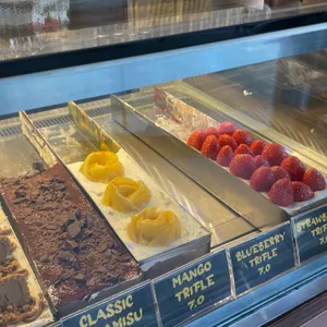 센트럴사이트 리뷰 사진