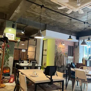 아니마 리뷰 사진
