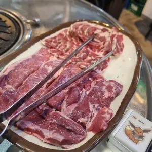 부산갈매기 사진