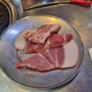 부산갈매기 사진