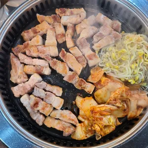 제주도야지 사진