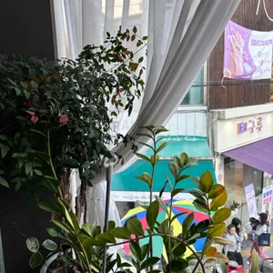 갸또드레브 리뷰 사진