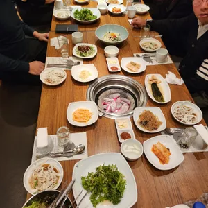 송도갈매기 사진