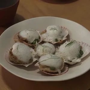 코랄 사진