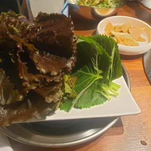 거북이동네 사진