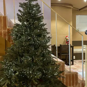 스테이 템포 리뷰 사진