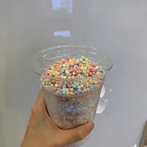 더죠이 사진