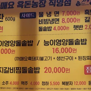 지중해캠프 사진