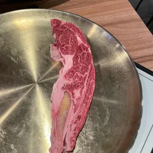 천년소나무 사진
