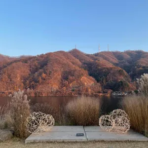 골든트리 리뷰 사진