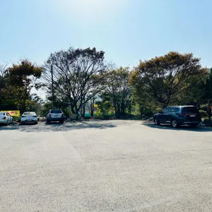 대원식당 리뷰 사진