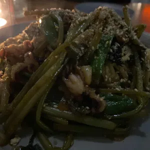 도르리 사진