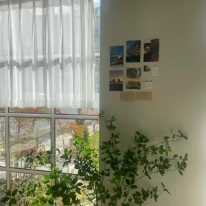 도산트 리뷰 사진