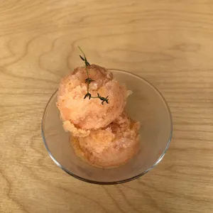 부쉬 사진