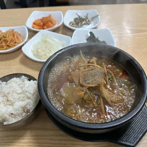 신지가 사진