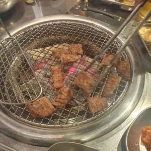 꼬소롬 사진