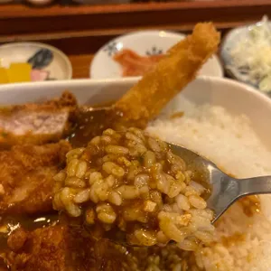 희락 사진