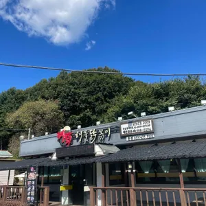 해닭 사진 1