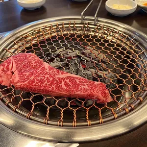 싱싱목장 사진