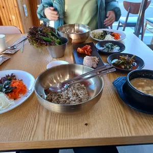 희락보리 사진