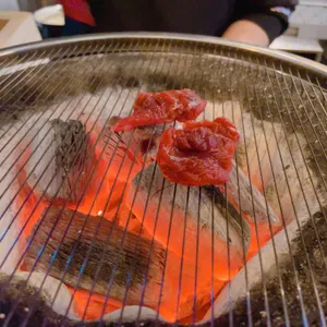 보리 사진