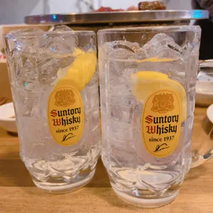 보리 사진