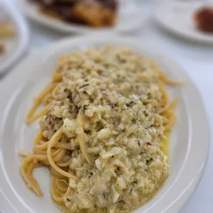 스텔리네 리뷰 사진