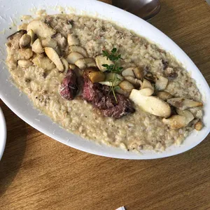 폴콘 오리스 사진