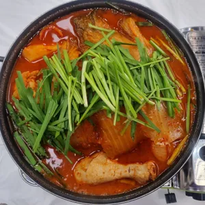 꼬닭 사진